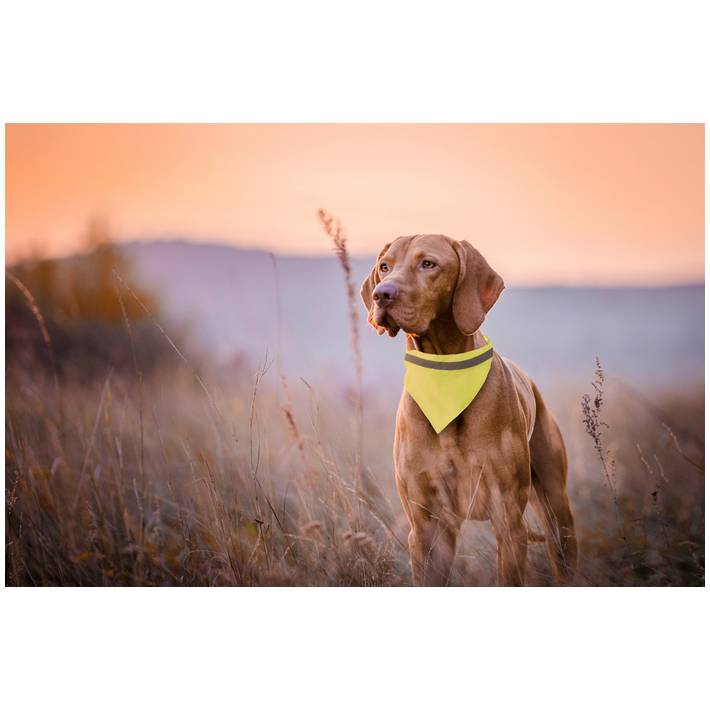 122/AP781925-02__DG1